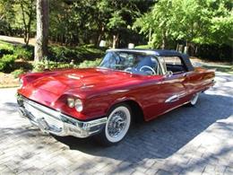 1959 Ford Thunderbird (CC-1554133) for sale in Cadillac, Michigan