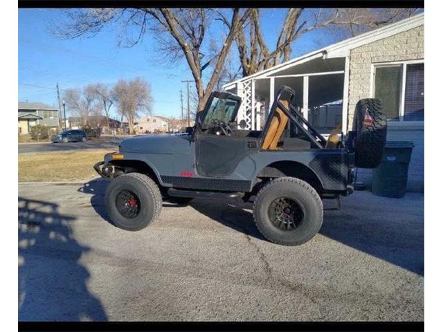 1981 Jeep CJ (CC-1555201) for sale in Cadillac, Michigan