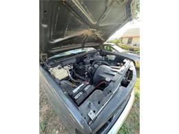 1989 Chevrolet Cheyenne (CC-1555219) for sale in Cadillac, Michigan