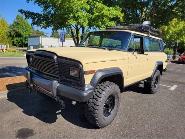 1979 Jeep CJ (CC-1555225) for sale in Cadillac, Michigan