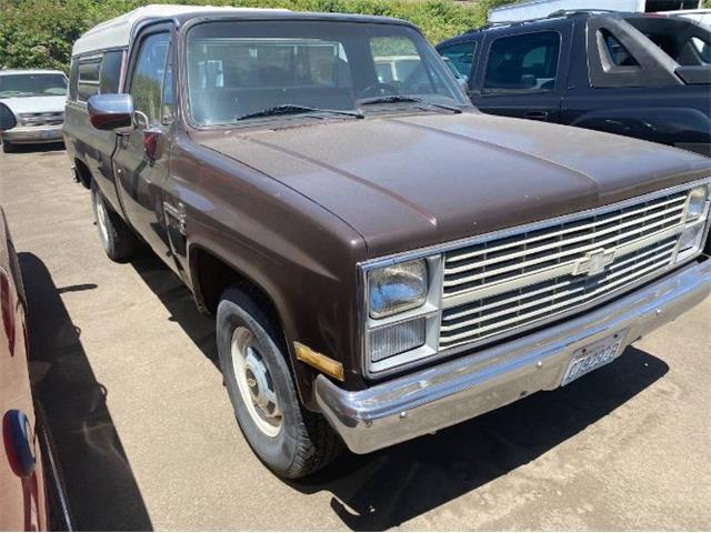 1984 Chevrolet C20 (CC-1555227) for sale in Cadillac, Michigan