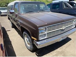 1984 Chevrolet C20 (CC-1555227) for sale in Cadillac, Michigan