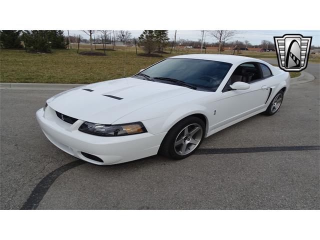 2003 Ford Mustang (CC-1555273) for sale in O'Fallon, Illinois