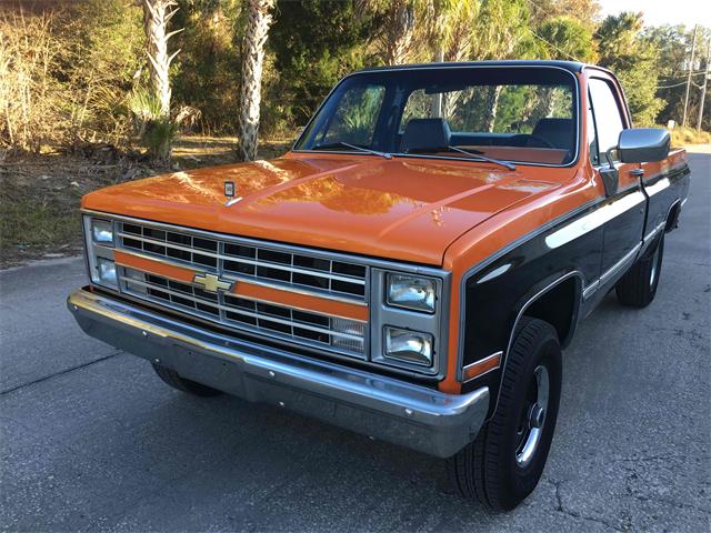 1982 Chevrolet C/K 10 (CC-1555580) for sale in Homosassa, Florida