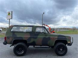 1984 Chevrolet Blazer (CC-1555622) for sale in Cadillac, Michigan