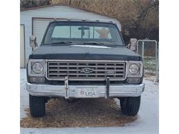 1976 Chevrolet Pickup (CC-1555667) for sale in Cadillac, Michigan