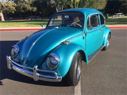 1966 Volkswagen Beetle (CC-1556092) for sale in Los Angeles, California