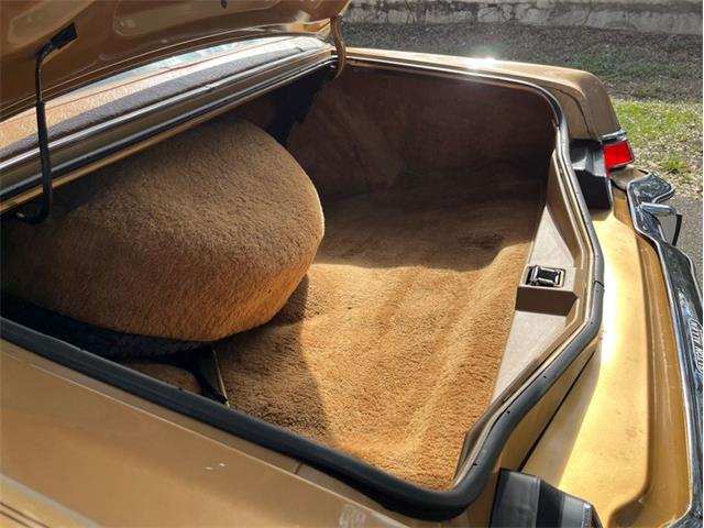 1975 Lincoln Continental Mark IV (CC-1556195) for sale in Orlando, Florida