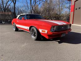1973 Ford Mustang (CC-1550633) for sale in Annandale, Minnesota