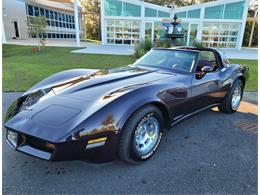 1980 Chevrolet Corvette (CC-1557218) for sale in Palmetto, Florida