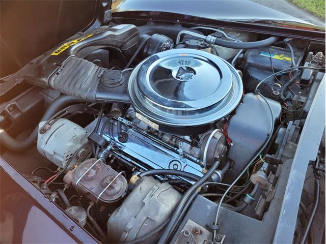 1980 Chevrolet Corvette (CC-1557218) for sale in Palmetto, Florida