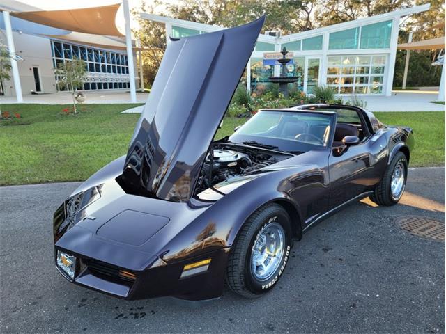 1980 Chevrolet Corvette (CC-1557218) for sale in Palmetto, Florida