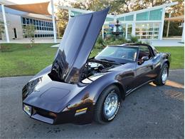 1980 Chevrolet Corvette (CC-1557218) for sale in Palmetto, Florida