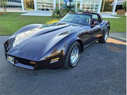 1980 Chevrolet Corvette (CC-1557218) for sale in Palmetto, Florida