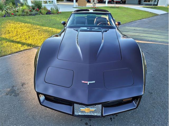 1980 Chevrolet Corvette (CC-1557218) for sale in Palmetto, Florida