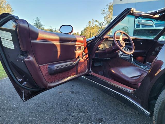 1980 Chevrolet Corvette (CC-1557218) for sale in Palmetto, Florida