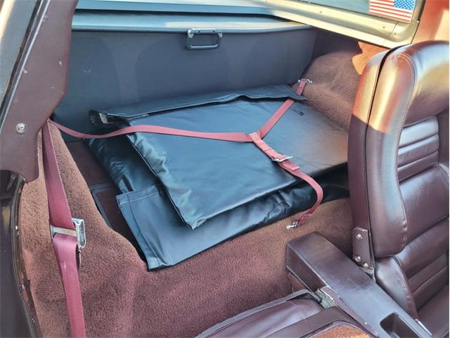 1980 Chevrolet Corvette (CC-1557218) for sale in Palmetto, Florida