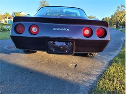 1980 Chevrolet Corvette (CC-1557218) for sale in Palmetto, Florida
