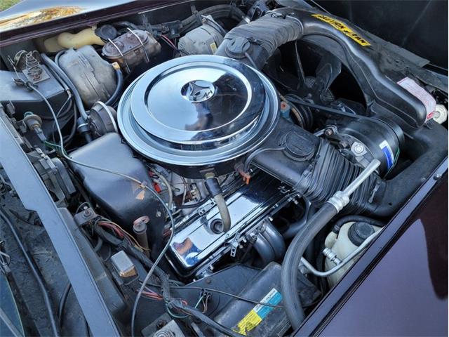 1980 Chevrolet Corvette (CC-1557218) for sale in Palmetto, Florida