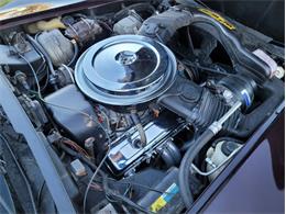 1980 Chevrolet Corvette (CC-1557218) for sale in Palmetto, Florida