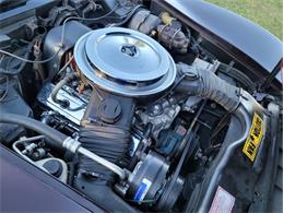 1980 Chevrolet Corvette (CC-1557218) for sale in Palmetto, Florida