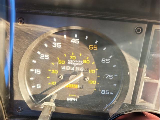 1980 Chevrolet Corvette (CC-1557218) for sale in Palmetto, Florida