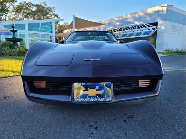 1980 Chevrolet Corvette (CC-1557218) for sale in Palmetto, Florida