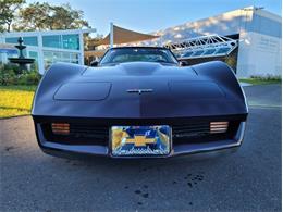 1980 Chevrolet Corvette (CC-1557218) for sale in Palmetto, Florida