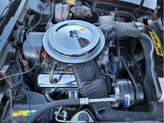 1980 Chevrolet Corvette (CC-1557218) for sale in Palmetto, Florida