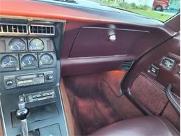 1980 Chevrolet Corvette (CC-1557218) for sale in Palmetto, Florida