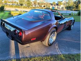 1980 Chevrolet Corvette (CC-1557218) for sale in Palmetto, Florida