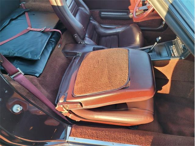 1980 Chevrolet Corvette (CC-1557218) for sale in Palmetto, Florida