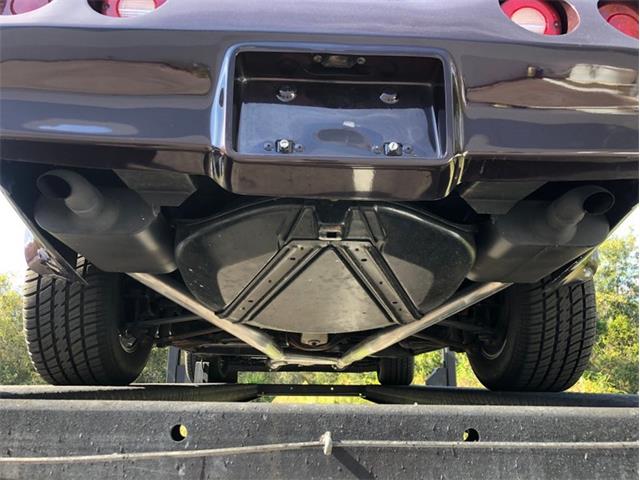 1980 Chevrolet Corvette (CC-1557218) for sale in Palmetto, Florida