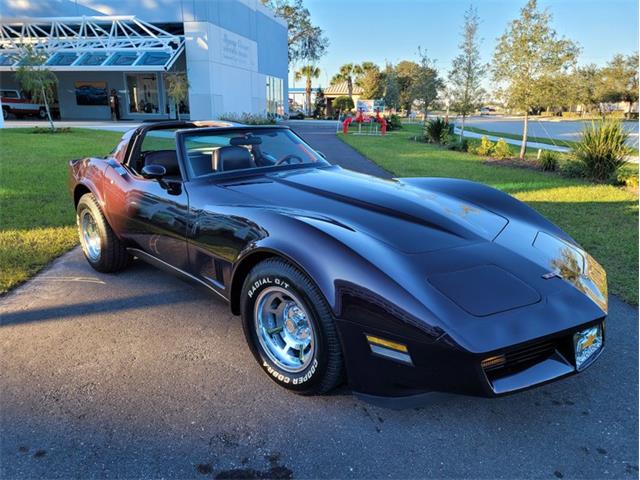 1980 Chevrolet Corvette (CC-1557218) for sale in Palmetto, Florida