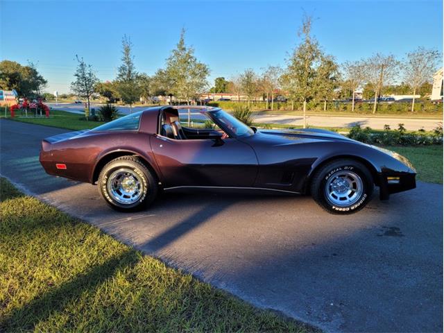 1980 Chevrolet Corvette (CC-1557218) for sale in Palmetto, Florida