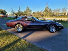 1980 Chevrolet Corvette (CC-1557218) for sale in Palmetto, Florida