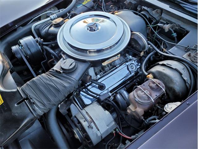 1980 Chevrolet Corvette (CC-1557218) for sale in Palmetto, Florida