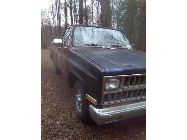 1982 Chevrolet C10 (CC-1557397) for sale in Cadillac, Michigan