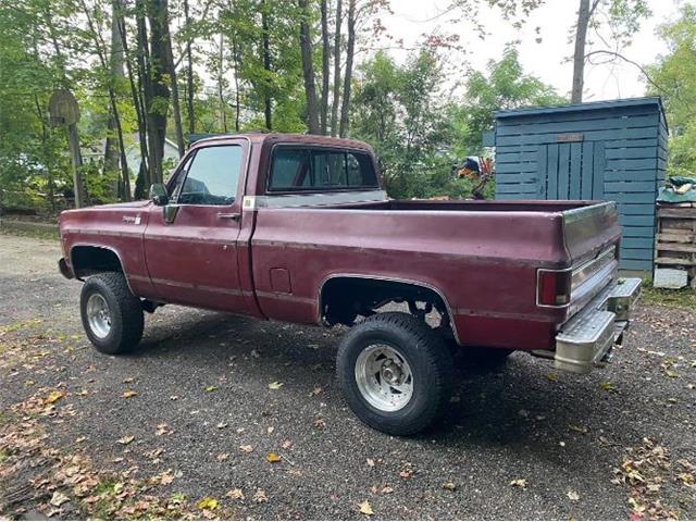 1979 Chevrolet Cheyenne (CC-1557406) for sale in Cadillac, Michigan