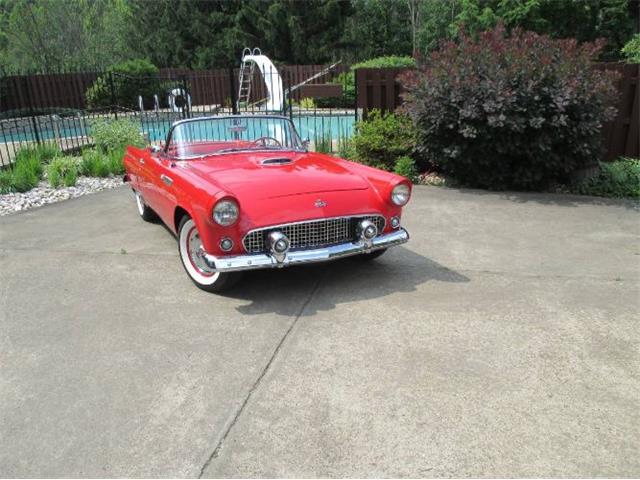 1955 Ford Thunderbird (CC-1557518) for sale in Cadillac, Michigan