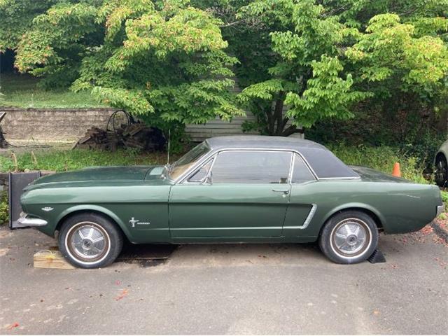 1965 Ford Mustang (CC-1557858) for sale in Cadillac, Michigan