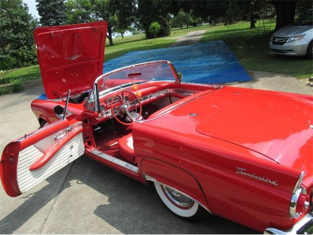 1955 Ford Thunderbird (CC-1558180) for sale in Cadillac, Michigan