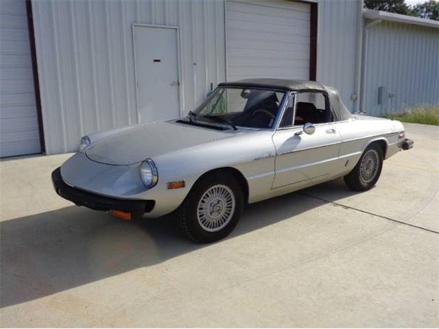 1981 Alfa Romeo Spider (CC-1558190) for sale in Cadillac, Michigan