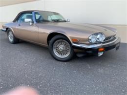 1990 Jaguar XJS (CC-1558983) for sale in Peoria, Arizona