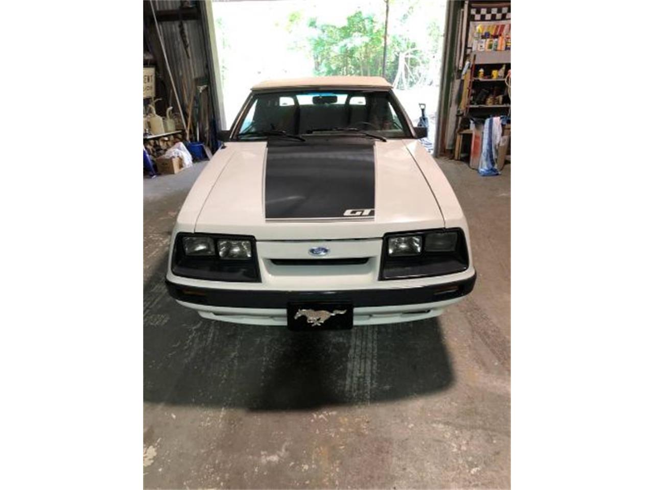 1986 Ford Mustang for Sale | ClassicCars.com | CC-1559601