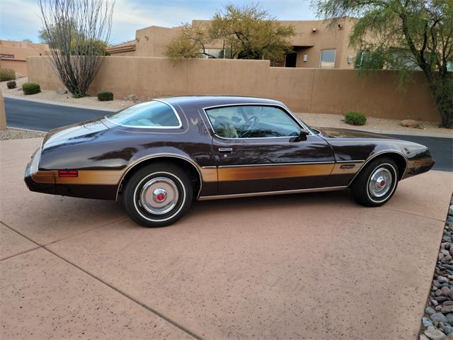 1981 Pontiac Firebird (CC-1559788) for sale in Scottsdale, Arizona