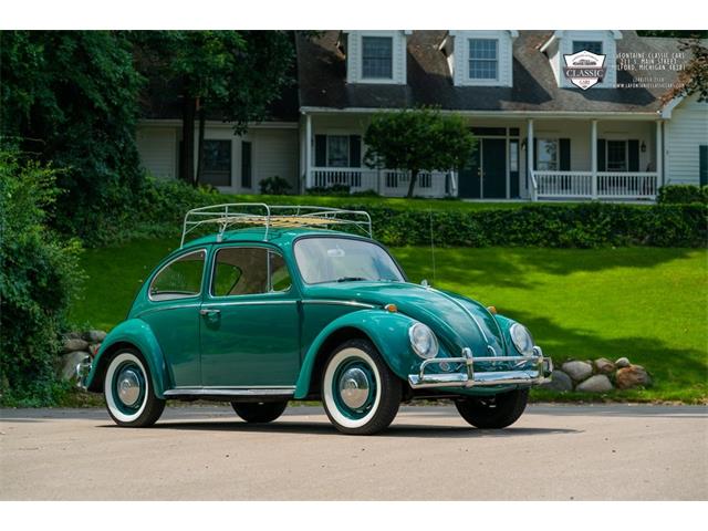 1966 Volkswagen Beetle (CC-1559922) for sale in Milford, Michigan