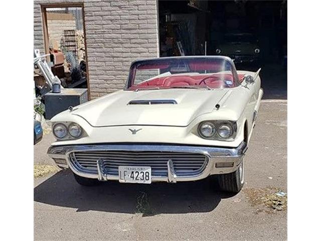 1959 Ford Thunderbird (CC-1559980) for sale in Cadillac, Michigan