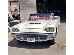 1959 Ford Thunderbird (CC-1559980) for sale in Cadillac, Michigan