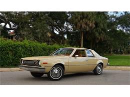 1973 AMC Hornet (CC-1561686) for sale in Clearwater, Florida